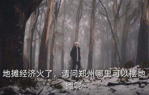 地?cái)偨?jīng)濟(jì)火了，請(qǐng)問(wèn)鄭州哪里可以擺地?cái)偰? class=