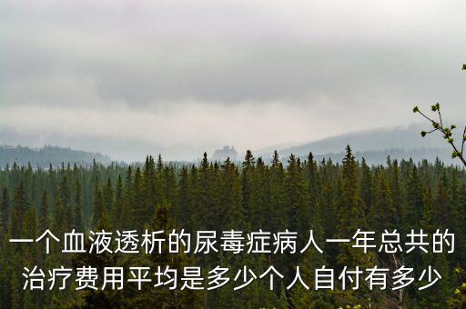 一個(gè)血液透析的尿毒癥病人一年總共的治療費(fèi)用平均是多少個(gè)人自付有多少