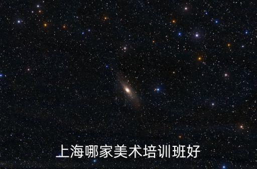 上海哪家美術培訓班好