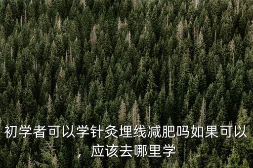 初學者可以學針灸埋線減肥嗎如果可以，應該去哪里學