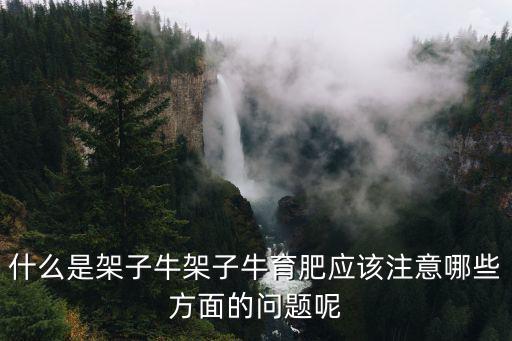 焦作哪里有架子牛賣,哪里有牛苗出售