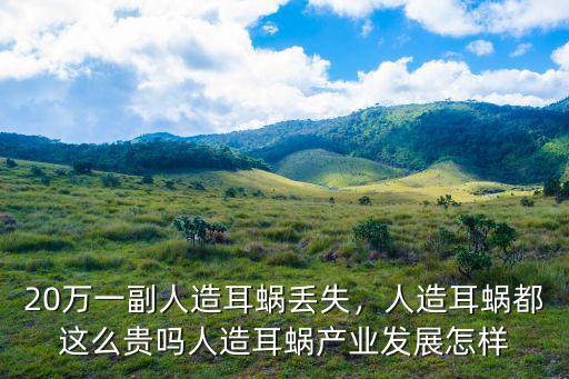 20萬一副人造耳蝸丟失，人造耳蝸都這么貴嗎人造耳蝸產業發展怎樣