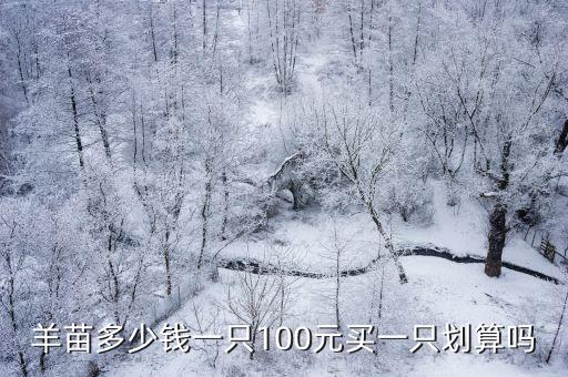 周口黑山羊苗20斤一只批發多少錢,羊苗多少錢一只