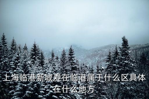 上海臨港新城愛在臨港屬于什么區具體在什么地方