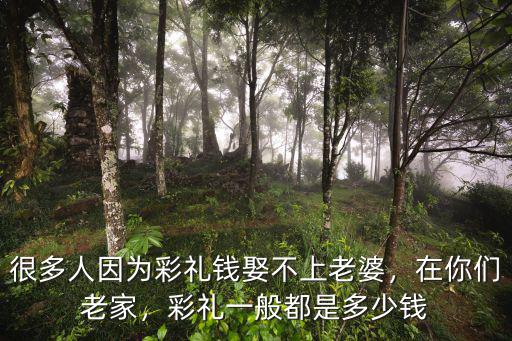 很多人因?yàn)椴识Y錢娶不上老婆，在你們老家，彩禮一般都是多少錢