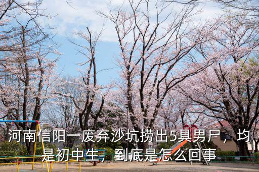 河南信陽一廢棄沙坑撈出5具男尸，均是初中生，到底是怎么回事