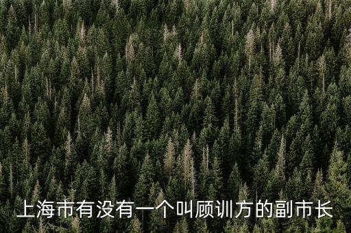上海市有沒有一個叫顧訓方的副市長