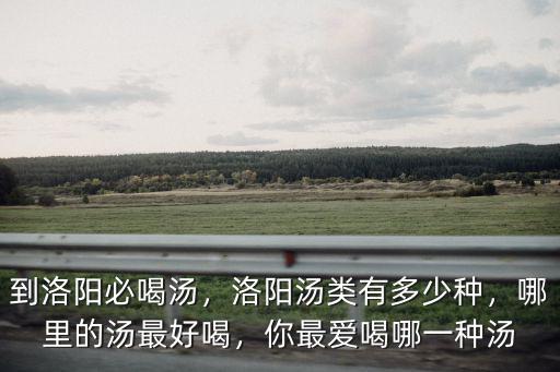 到洛陽必喝湯，洛陽湯類有多少種，哪里的湯最好喝，你最愛喝哪一種湯