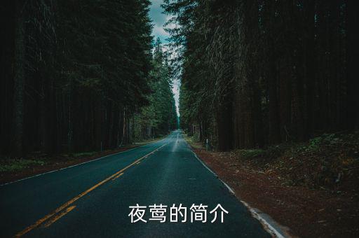 夜鶯的簡介