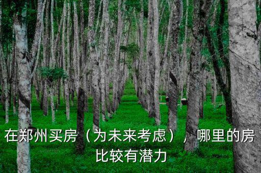 在鄭州買房（為未來考慮），哪里的房比較有潛力