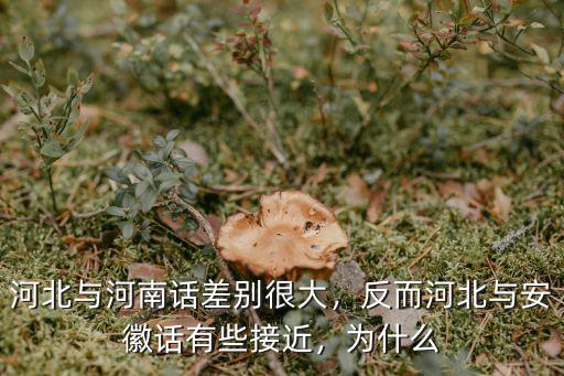 河北與河南話差別很大，反而河北與安徽話有些接近，為什么