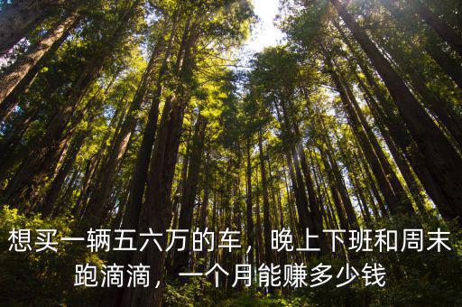 信陽跑滴滴一個月能賺多少,晚上下班和周末跑滴滴