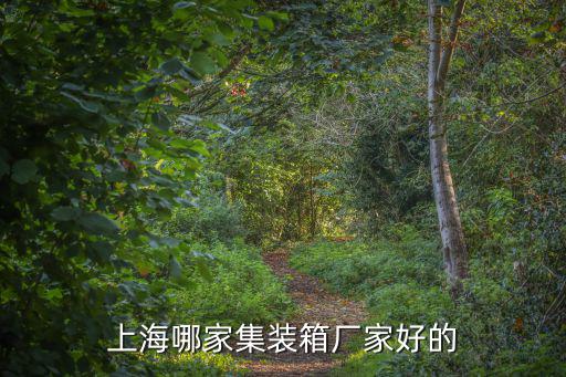 上海哪家集裝箱廠家好的