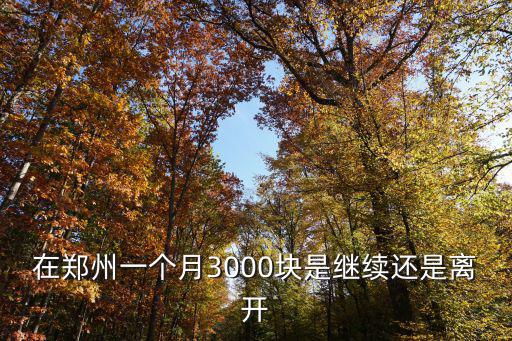 在鄭州一個月3000塊是繼續還是離開