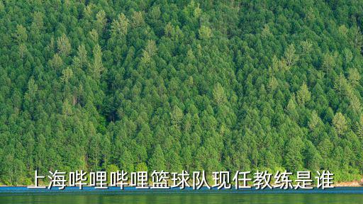 上海嗶哩嗶哩籃球隊現任教練是誰