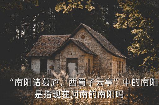 “南陽諸葛廬，西蜀子云亭”中的南陽是指現在河南的南陽嗎