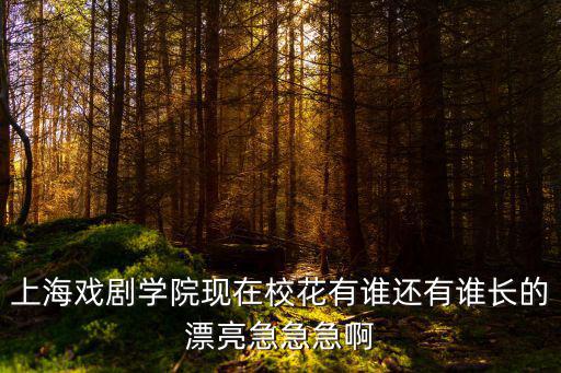 上海戲劇學院?；ǎ虾騽W院的?；ㄊ钦l啊