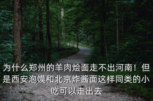 為什么鄭州的羊肉燴面走不出河南！但是西安泡饃和北京炸醬面這樣同類的小吃可以走出去