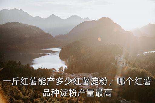 新鄉哪里可以收紅薯淀粉,一斤紅薯能產多少紅薯淀粉