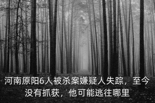 河南原陽6人被殺案嫌疑人失蹤，至今沒有抓獲，他可能逃往哪里