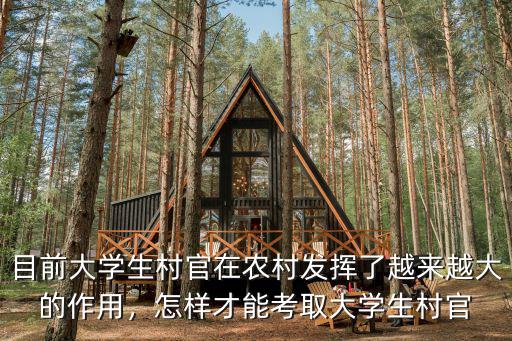 目前大學生村官在農村發揮了越來越大的作用，怎樣才能考取大學生村官