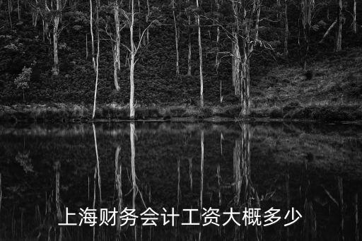 上海財務(wù)，上海哪家財務(wù)公司比較好