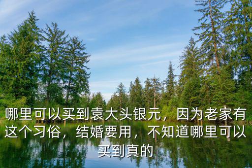 哪里收袁大頭銀元周口,哪里可以買到袁大頭銀元