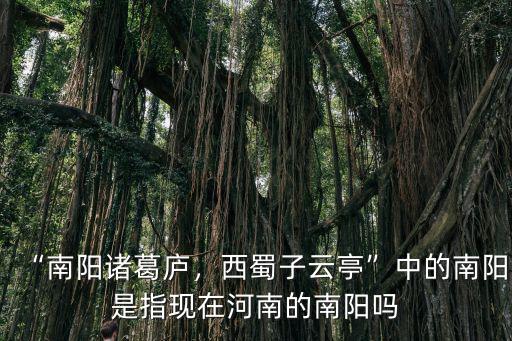 “南陽諸葛廬，西蜀子云亭”中的南陽是指現(xiàn)在河南的南陽嗎