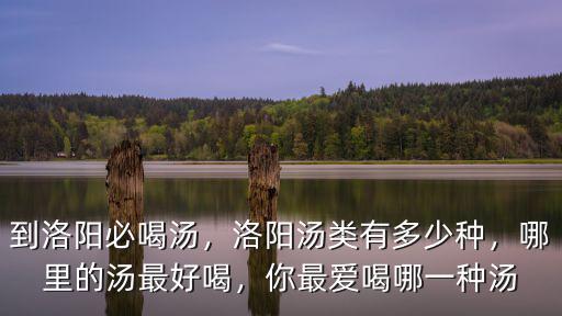 到洛陽必喝湯，洛陽湯類有多少種，哪里的湯最好喝，你最愛喝哪一種湯