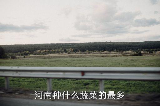 河南種什么蔬菜的最多