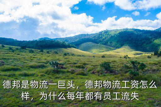 德邦是物流一巨頭，德邦物流工資怎么樣，為什么每年都有員工流失