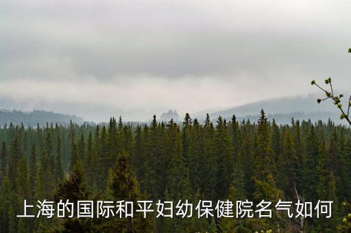 上海的國際和平婦幼保健院名氣如何