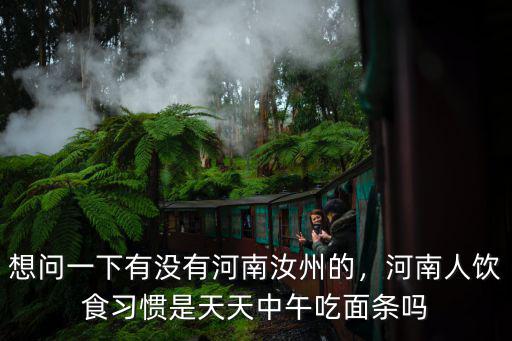 想問一下有沒有河南汝州的，河南人飲食習慣是天天中午吃面條嗎