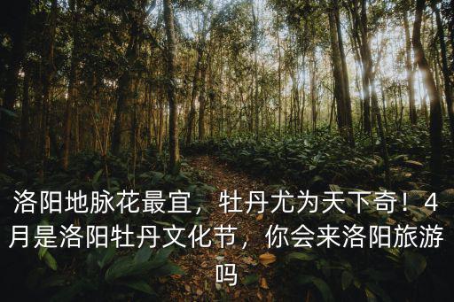 洛陽地脈花最宜，牡丹尤為天下奇！4月是洛陽牡丹文化節，你會來洛陽旅游嗎