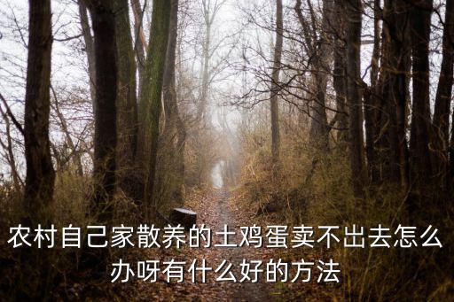 農村自己家散養的土雞蛋賣不岀去怎么辦呀有什么好的方法