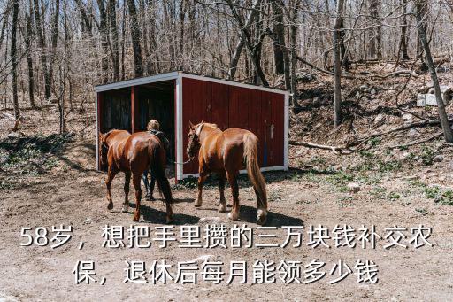 58歲，想把手里攢的三萬塊錢補(bǔ)交農(nóng)保，退休后每月能領(lǐng)多少錢