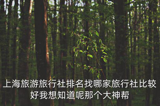 上海旅行社，上海旅游旅行社排名找哪家旅行社比較好我想知道呢那個大神幫