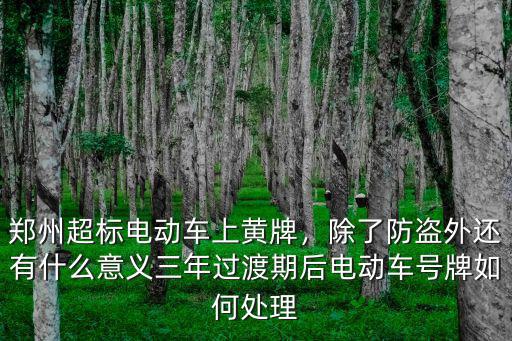 鄭州超標(biāo)電動車上黃牌，除了防盜外還有什么意義三年過渡期后電動車號牌如何處理