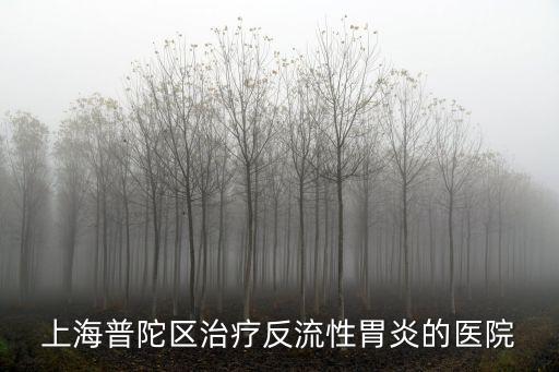 上海普陀區治療反流性胃炎的醫院