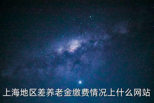 上海市人力資源和社會保障網，上海地區差養老金繳費情況上什么網站