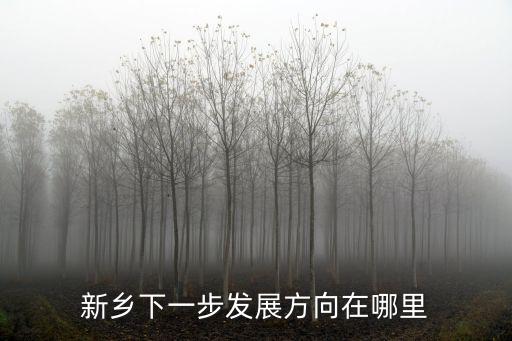 新鄉市西王村在哪里,新鄉市在哪個省