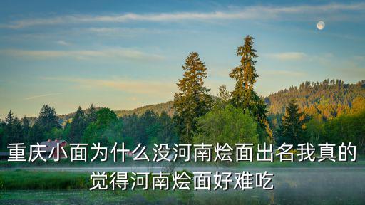 重慶小面為什么沒河南燴面出名我真的覺得河南燴面好難吃