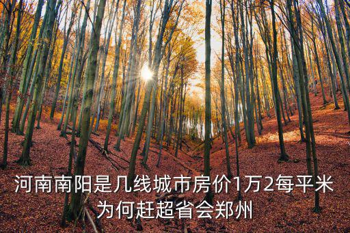 河南南陽是幾線城市房價1萬2每平米為何趕超省會鄭州
