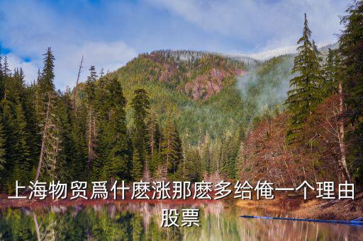 上海物貿爲什麼漲那麼多給俺一個理由股票