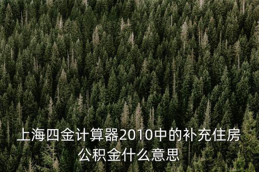 上海四金計算器2010中的補充住房公積金什么意思