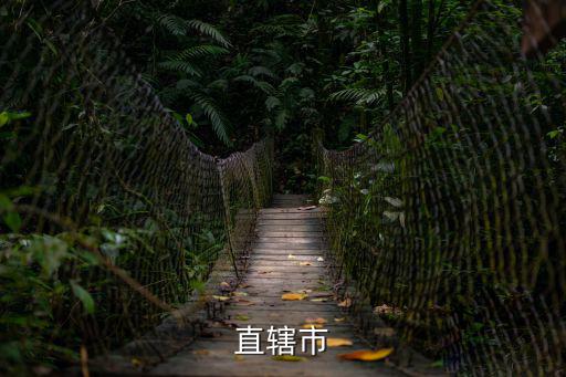 直轄市