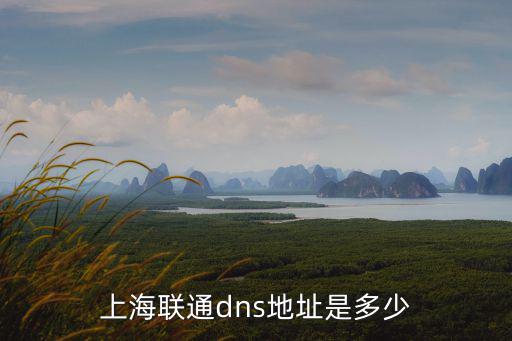 上海聯通dns地址是多少