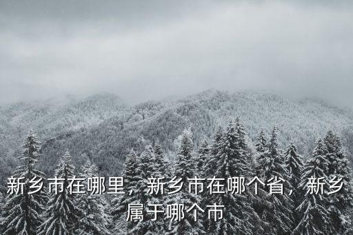 新鄉(xiāng)市皮革城在哪里,新鄉(xiāng)市在哪里