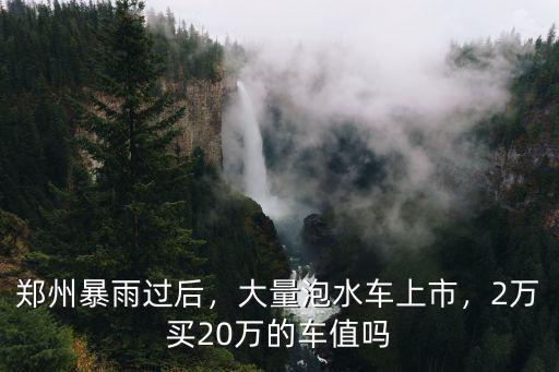 鄭州暴雨過后，大量泡水車上市，2萬買20萬的車值嗎