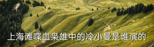 上海灘喋血梟雄中的冷小曼是誰(shuí)演的